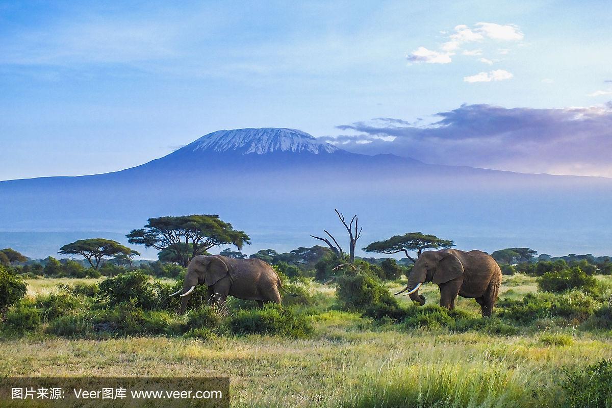 其他AB站跳转支付方式详解